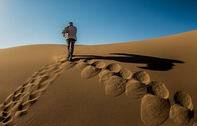 Karakal Desert