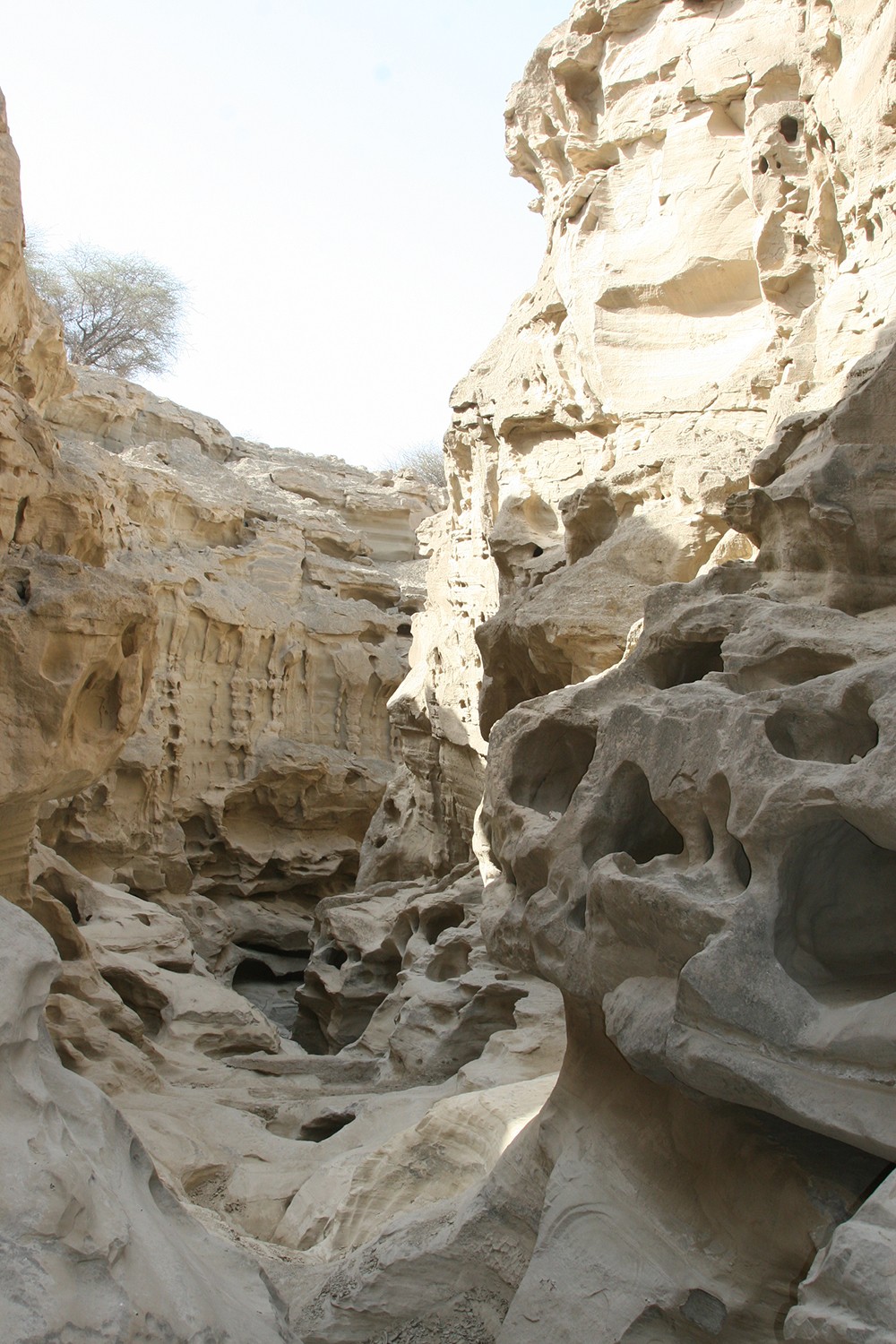 Chahkooh-Qeshm-Iran
