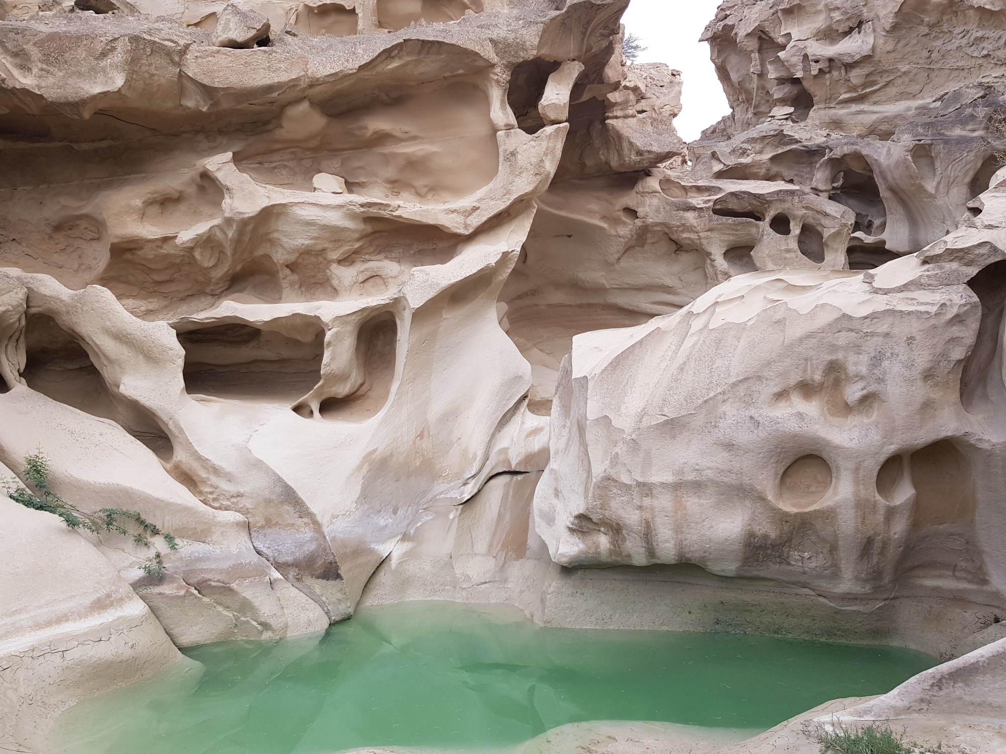 Chakavir-Qeshm-Iran