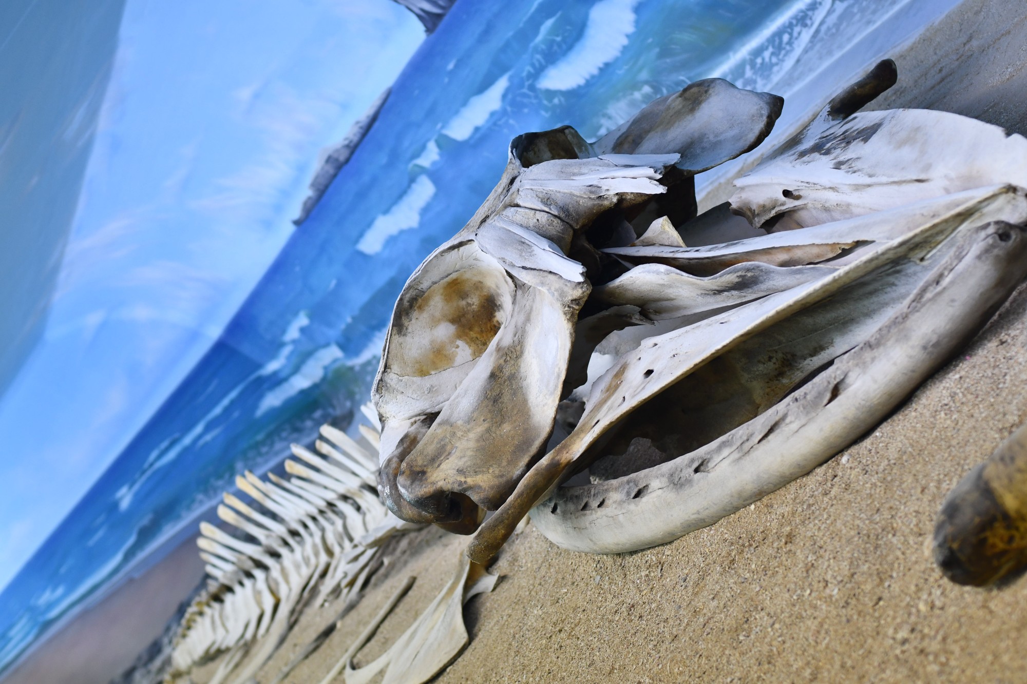 Qeshm-geopark-Musuem